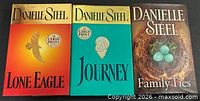 Front covers of all three Danielle Steel large-print hardcovers