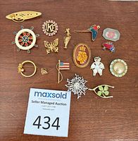 Overall view of all brooches and pins laid out on table