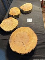 Four wood slices on black cloth showing size range and bark edges