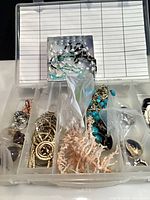 Overall view of compartment box showing multiple costume jewelry pieces