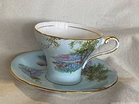 Teacup on saucer front view showing pattern and gold trim