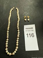 Necklace and pair of earrings overview