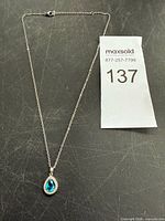 Full view of necklace showing chain, pendant and clasp