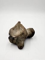 Oblique view of bison vertebra fossil