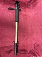 Full view of Canon Monopod 100 showing telescopic sections, foam grip, wrist strap, and camera mount