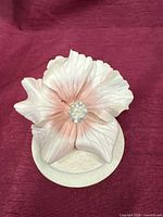 Top view showing full flower form and color
