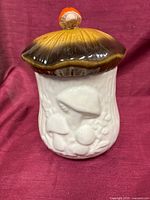 Front view of ceramic mushroom canister showing lid and body