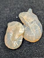 Two carved opal gemstones on dark background