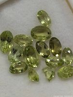Group view of all loose peridots on white background