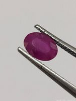 Front view of oval ruby held by tweezers