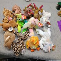 Group shot of all 12 Beanie Babies
