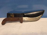 Knife in sheath, full view of both items