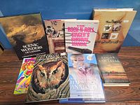 All eight books front covers displayed upright and lying flat