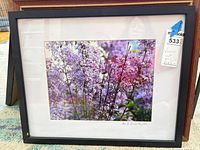 Framed lilac photographic print front view with black frame and auction tag visible