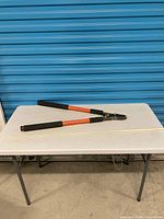 Full view of Corona loppers on table