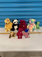 Group shot of all eight bears for lot overview