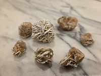 Seven gypsum desert rose clusters displayed on marble surface