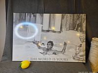 Front view of mounted poster showing full image and caption