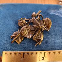 Front view showing lizard and leaves, scale with ruler