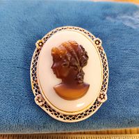 Front view of oval cameo brooch showing design