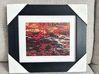 Full view of framed Red Maple print with contrasting frame