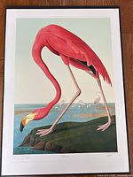 Full view of the unframed Flamingo lithograph showing artwork and margins