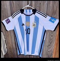 Front view of jersey on hanger showing stripes, chest badges, sleeve patches