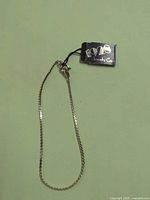 Full view of bracelet showing chain style, clasp and tag