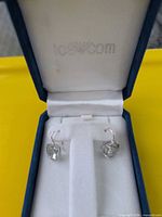 Earrings in ice.com box, front view