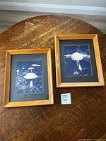 Both framed mushroom photographs side by side on table