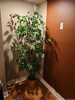 Full view of 6 ft artificial ficus tree in corner