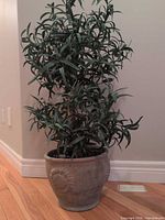 Full view of faux olive tree in clay planter