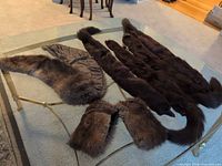 All seven fur pieces laid out: four dark stoles, collar, two cuffs