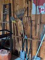 overall view of ladder and assorted long-handled garden tools in shed