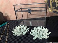 Glass display case with two ceramic succulents in front
