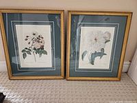 Both framed prints leaning against wall showing pair and size
