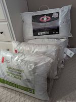 All five pillows grouped; sealed Cuddle Down Suprelle pillow on top, two sealed President’s Choice Allergy Defence pillows front, two Mainstays pillows partially visible rear