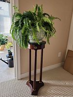 Plant stand with artificial fern displayed