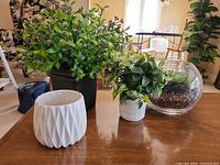 All four planters on table