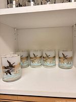 All five tumblers on shelf