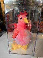 Front view of Ty Strut Beanie Baby in clear display case with swing tag visible