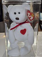 Front view of Ty Valentino bear in case