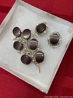 Brooch and earrings in box, showing cabochons and gold-tone settings