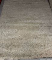 Full view of cream shag rug