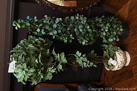Overall view of two artificial plants with ceramic planters on wood floor.