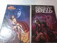 Lady Pendragon and Nightbreed comics in plastic sleeves side by side
