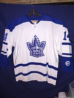 Front view of jersey showing crest, color scheme, number 14 on sleeve