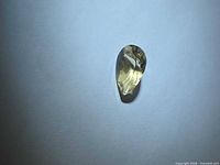 Top view of pear-cut golden heliodor