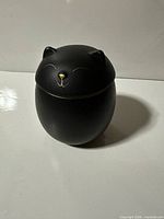 Closed black cat-shaped urn on white surface