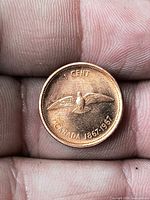 Reverse side with rock dove and dates